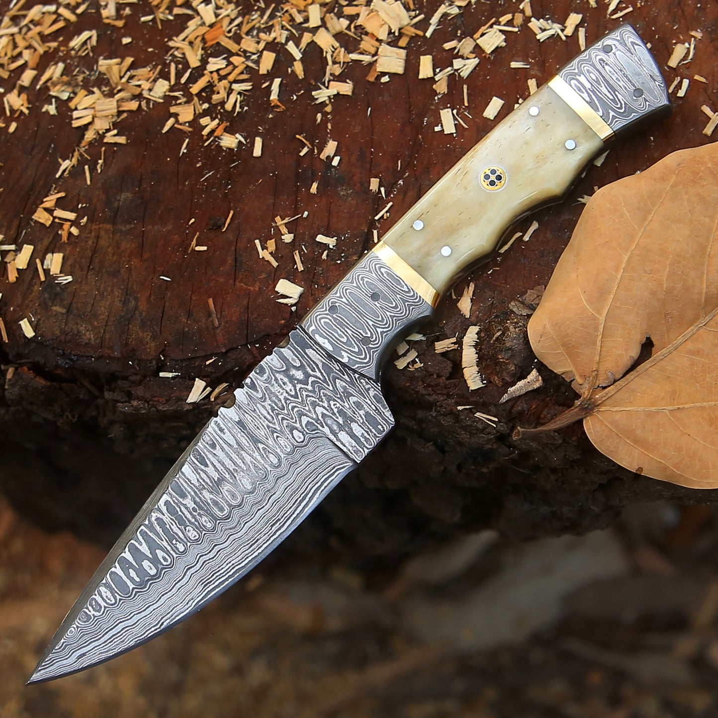 Br'er Rabbit Blade - 8.5” Hand Forged Damascus Steel Full Tang Skinner Knife - Camel Bone Handle