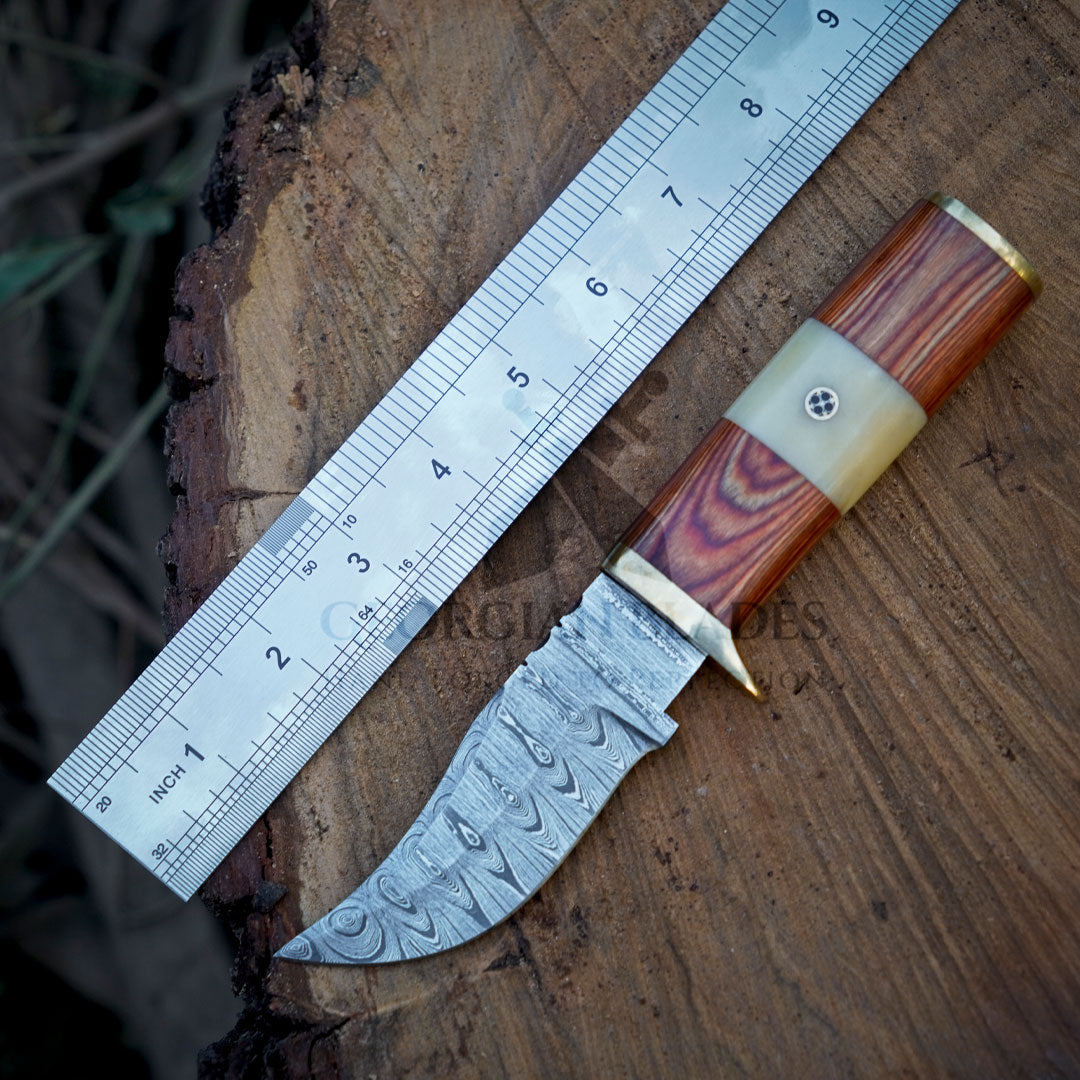 Mike Fink Skinner - CUSTOM HANDMADE FORGED DAMASCUS Steel Hunting Knife Wood & Camel Bone Handle