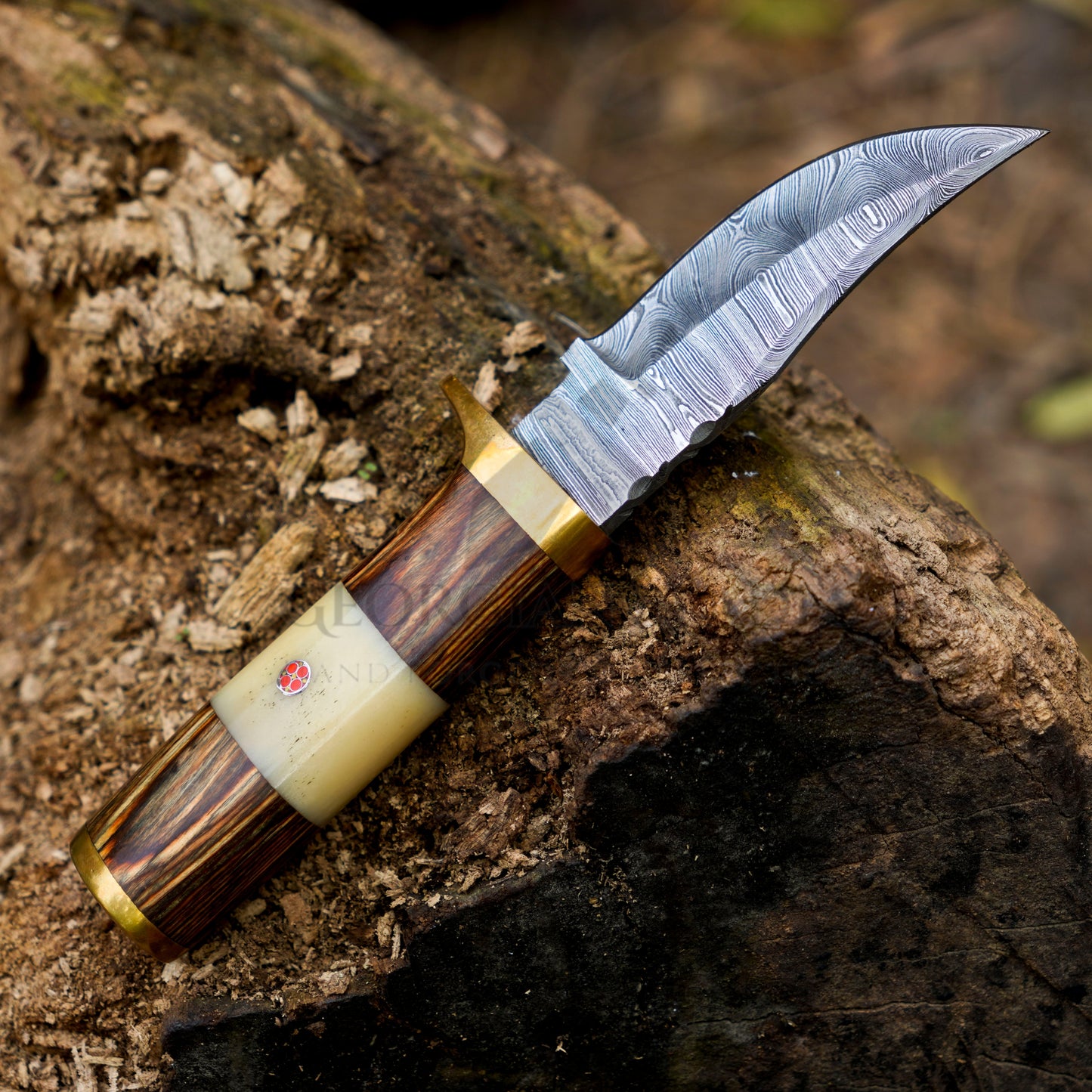 Mike Fink Skinner - CUSTOM HANDMADE FORGED DAMASCUS Steel Hunting Knife Wood & Camel Bone Handle