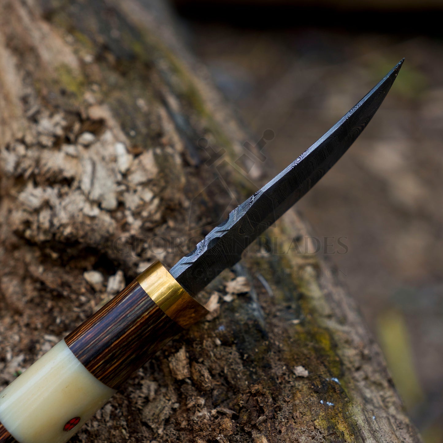 Mike Fink Skinner - CUSTOM HANDMADE FORGED DAMASCUS Steel Hunting Knife Wood & Camel Bone Handle