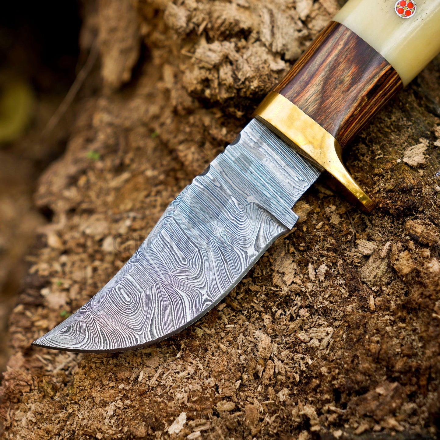 Mike Fink Skinner - CUSTOM HANDMADE FORGED DAMASCUS Steel Hunting Knife Wood & Camel Bone Handle