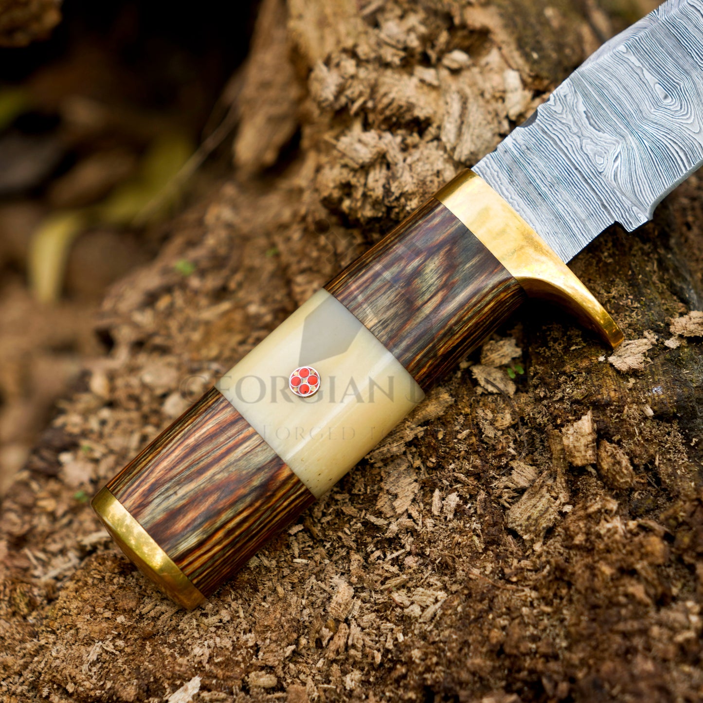Mike Fink Skinner - CUSTOM HANDMADE FORGED DAMASCUS Steel Hunting Knife Wood & Camel Bone Handle