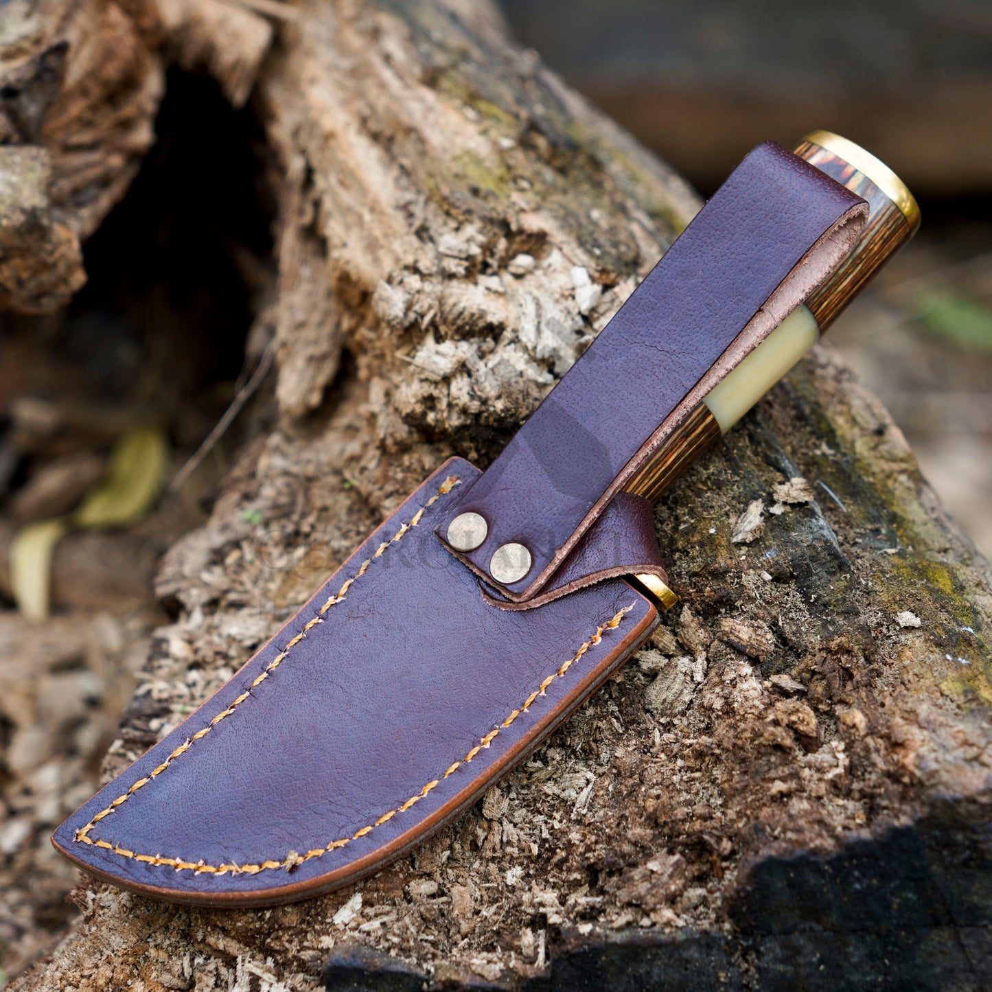Mike Fink Skinner - CUSTOM HANDMADE FORGED DAMASCUS Steel Hunting Knife Wood & Camel Bone Handle