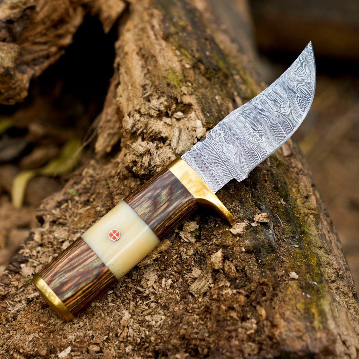 Mike Fink Skinner - CUSTOM HANDMADE FORGED DAMASCUS Steel Hunting Knife Wood & Camel Bone Handle