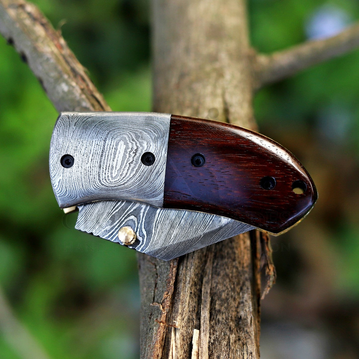 ZenithZing - Hand Forged 5.5" Mini Folding Knife with Leather Sheath