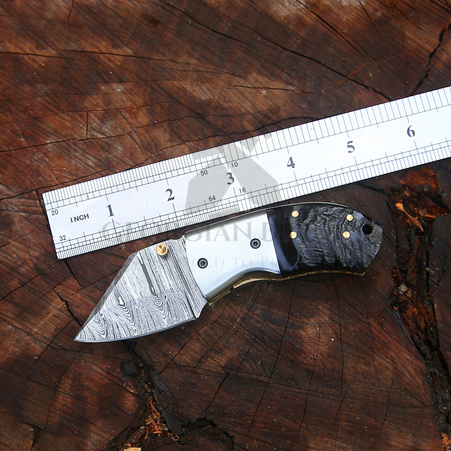 Lil' Capra Cutter - Hand Forged 5.5" EDC Pocket Folding Knife with Leather Sheath