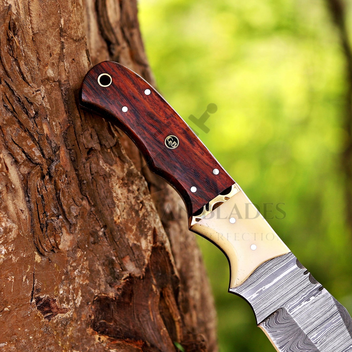 Johnny Appleseed Blade - 10” Custom Hand Forged Damascus Steel Full Tang Hunting Knife - Wood & Bone Handle