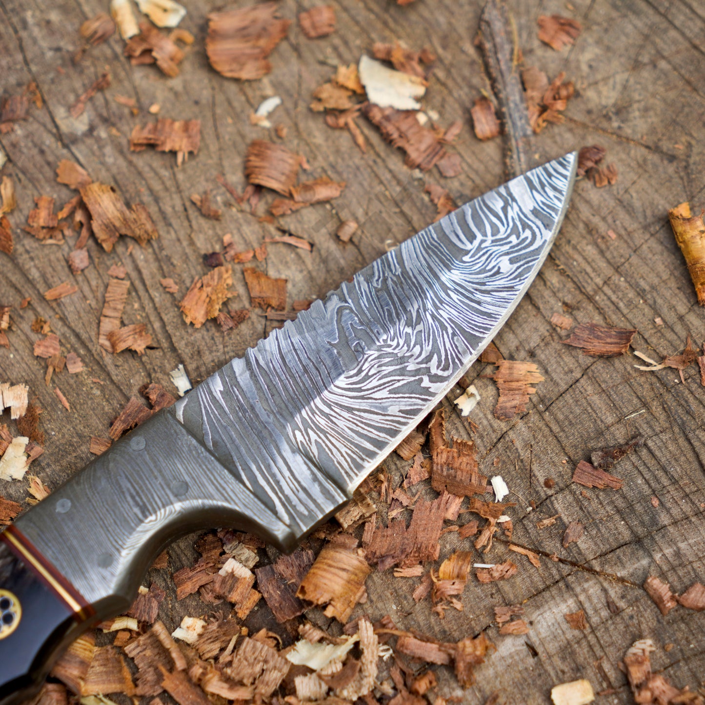 Firefang Damascus Skinner - 7.25" Hand Forged Damascus Steel Full Tang Skinner Knife - Buffalo Horn Handle