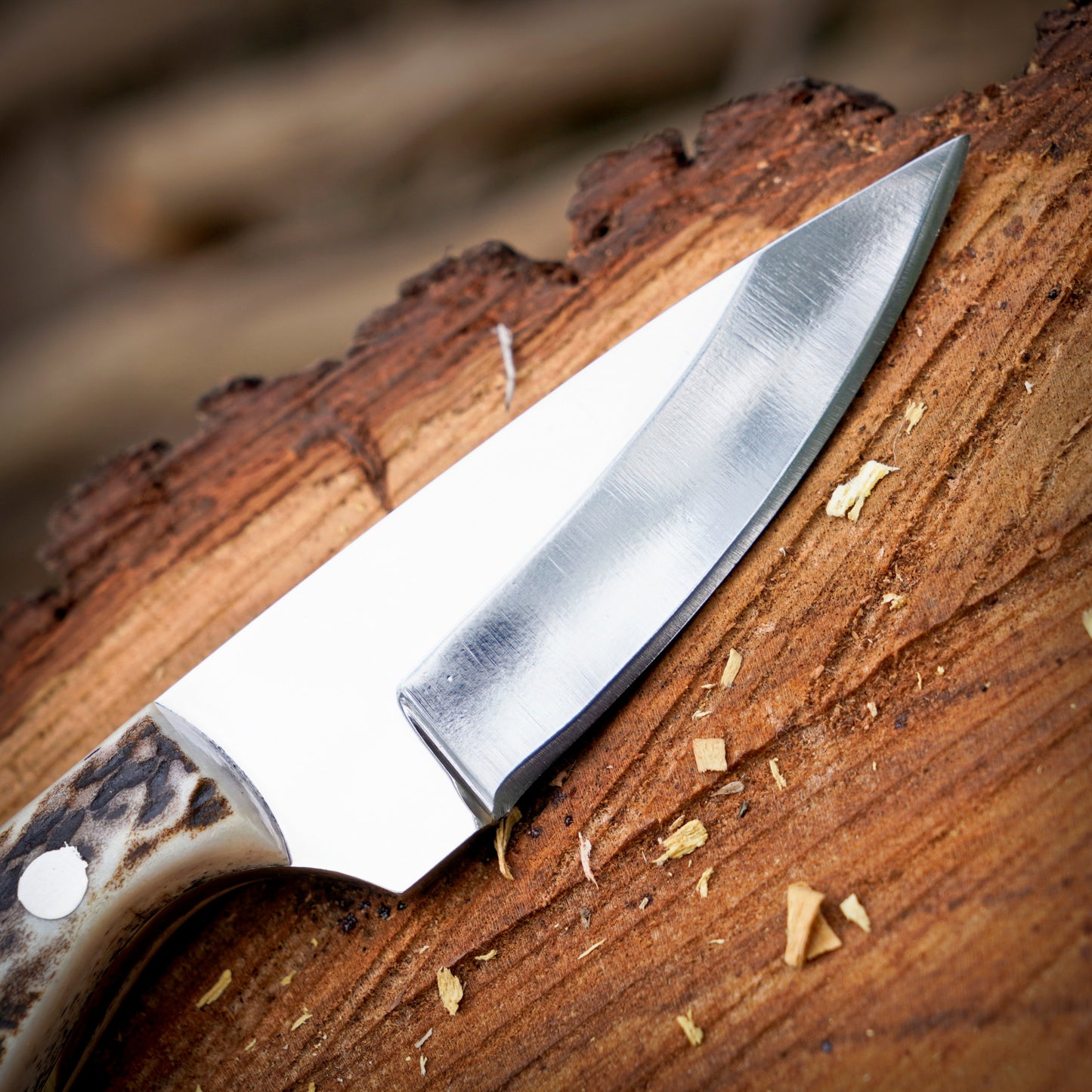 The Ghost Ridge Hunting Knife - Premium Hand Forged Full Tang Skinning Knife - Stag Antler Handle - D2 Steel- 7 inches