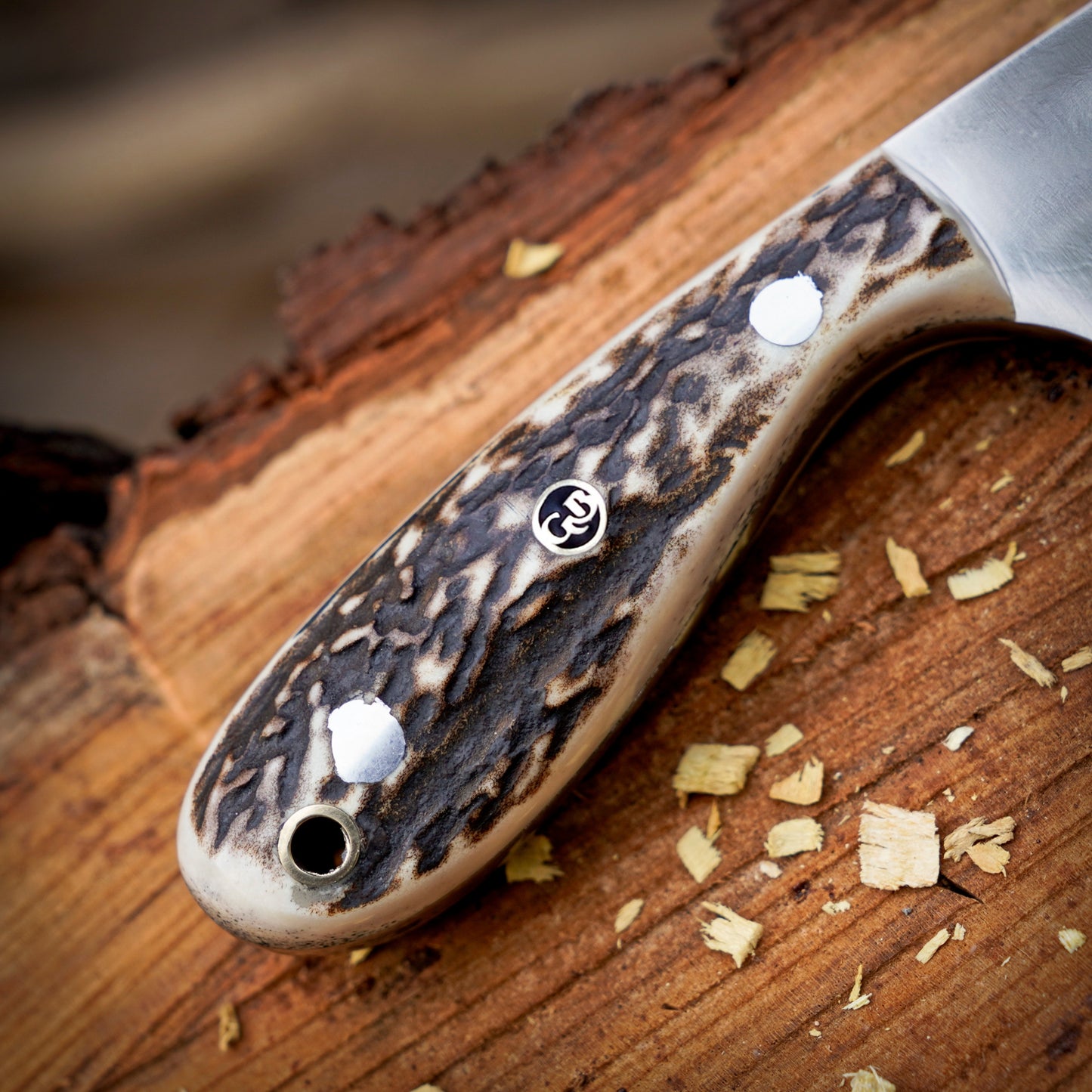 The Ghost Ridge Hunting Knife - Premium Hand Forged Full Tang Skinning Knife - Stag Antler Handle - D2 Steel- 7 inches