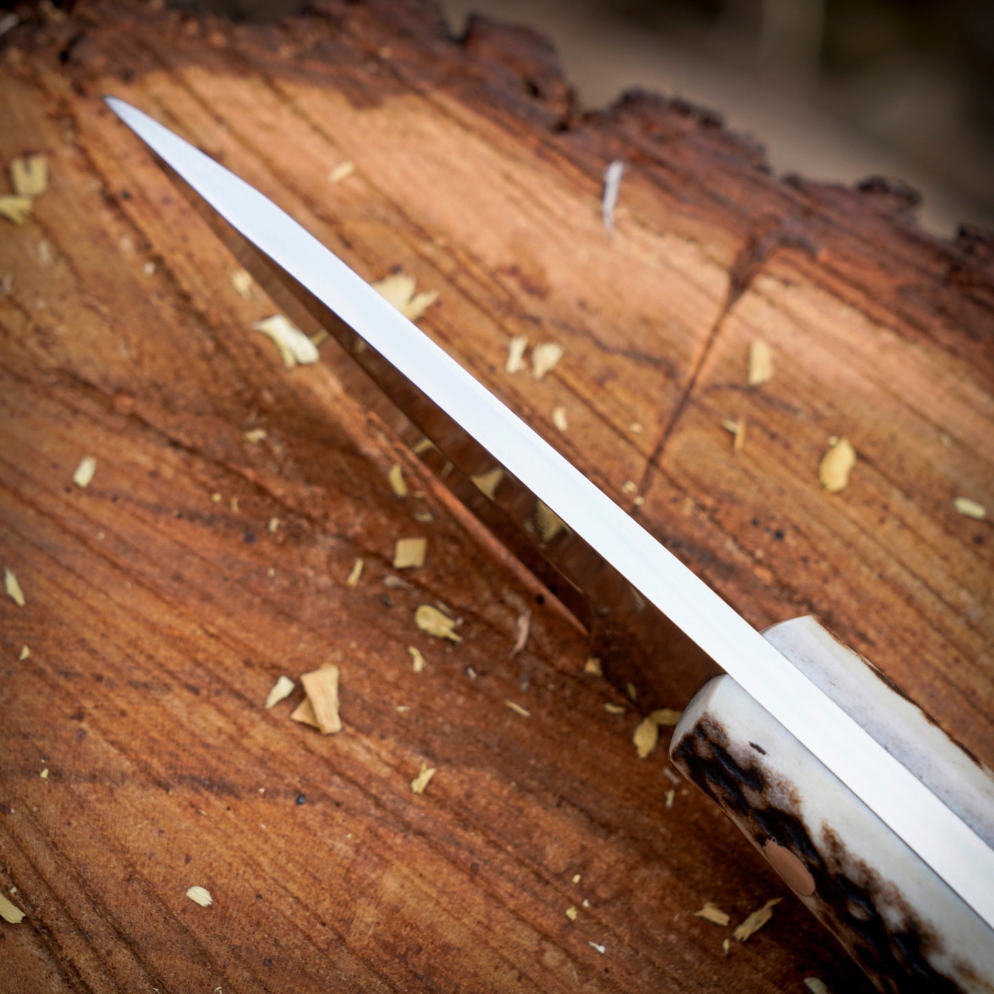 The Ghost Ridge Hunting Knife - Premium Hand Forged Full Tang Skinning Knife - Stag Antler Handle - D2 Steel- 7 inches