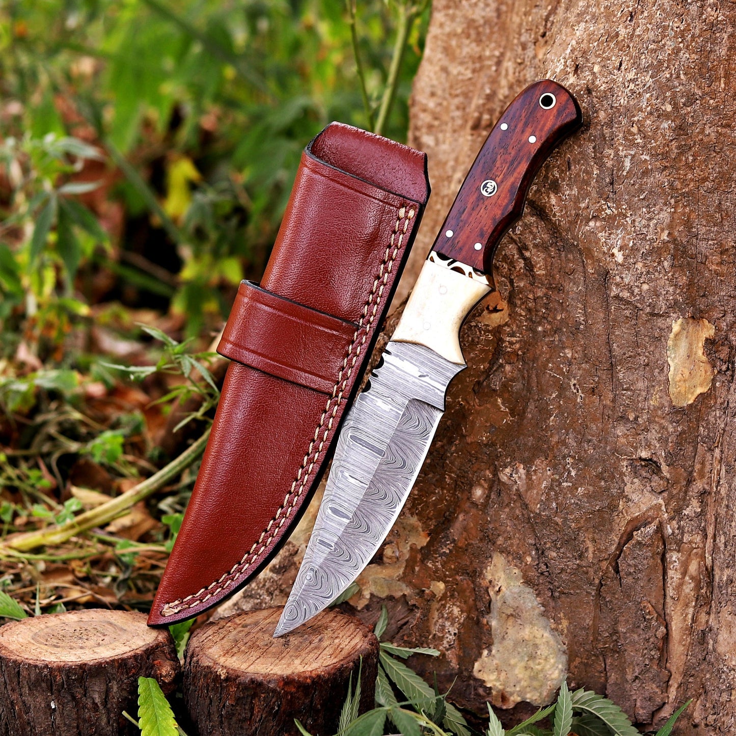 Johnny Appleseed Blade - 10” Custom Hand Forged Damascus Steel Full Tang Hunting Knife - Wood & Bone Handle