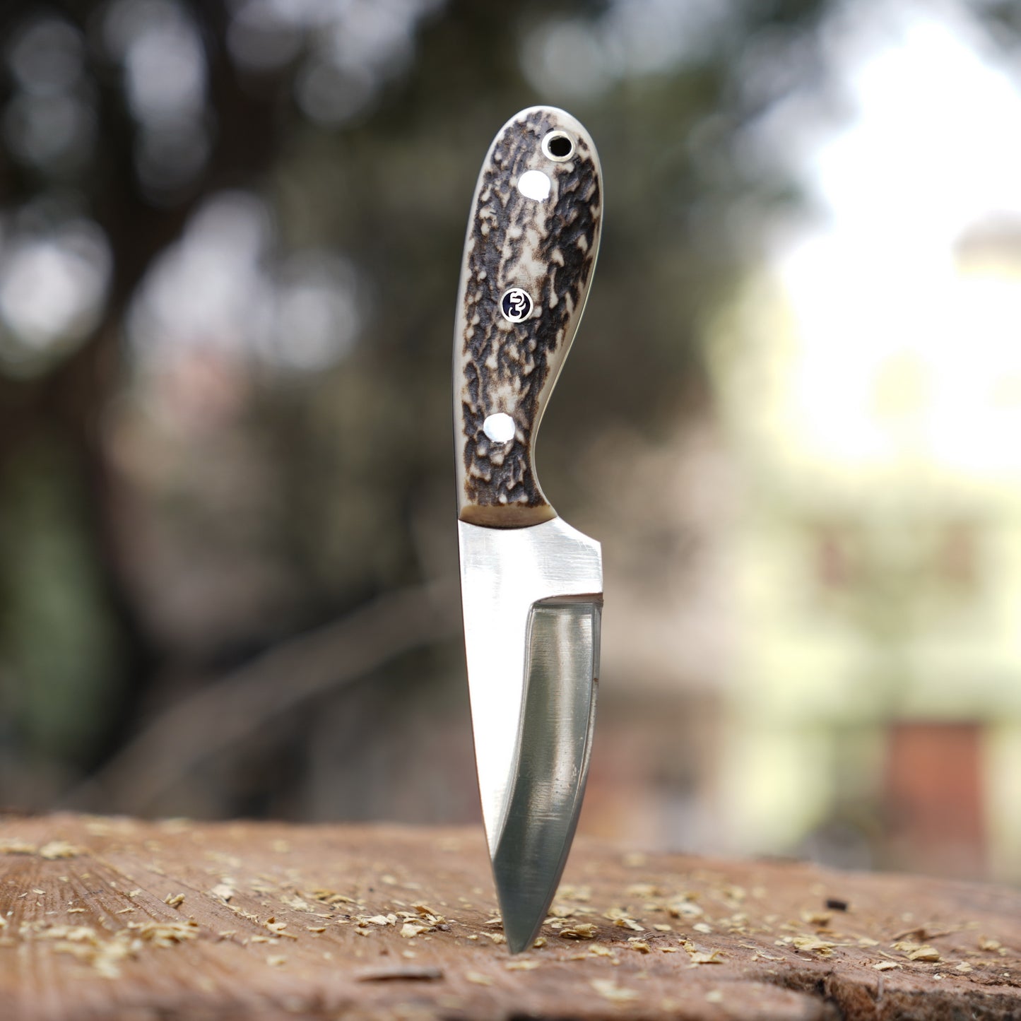 The Ghost Ridge Hunting Knife - Premium Hand Forged Full Tang Skinning Knife - Stag Antler Handle - D2 Steel- 7 inches