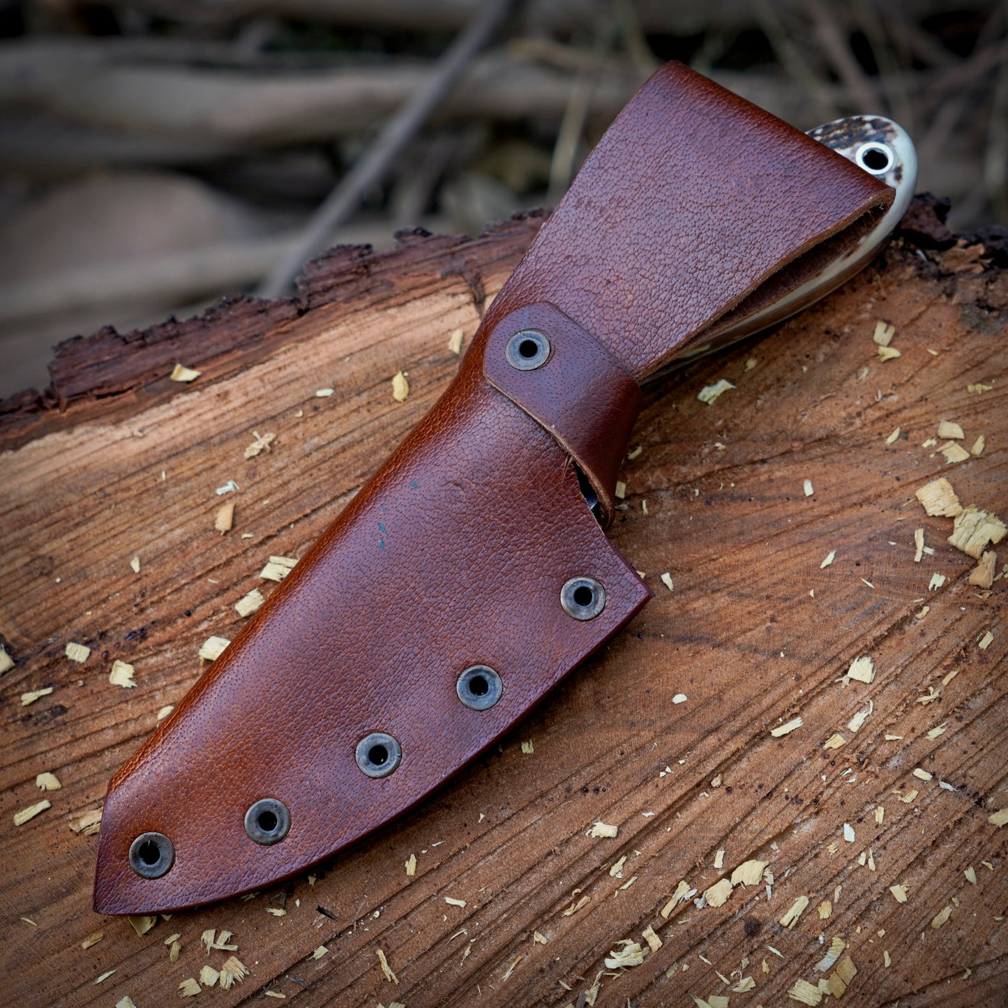 The Ghost Ridge Hunting Knife - Premium Hand Forged Full Tang Skinning Knife - Stag Antler Handle - D2 Steel- 7 inches