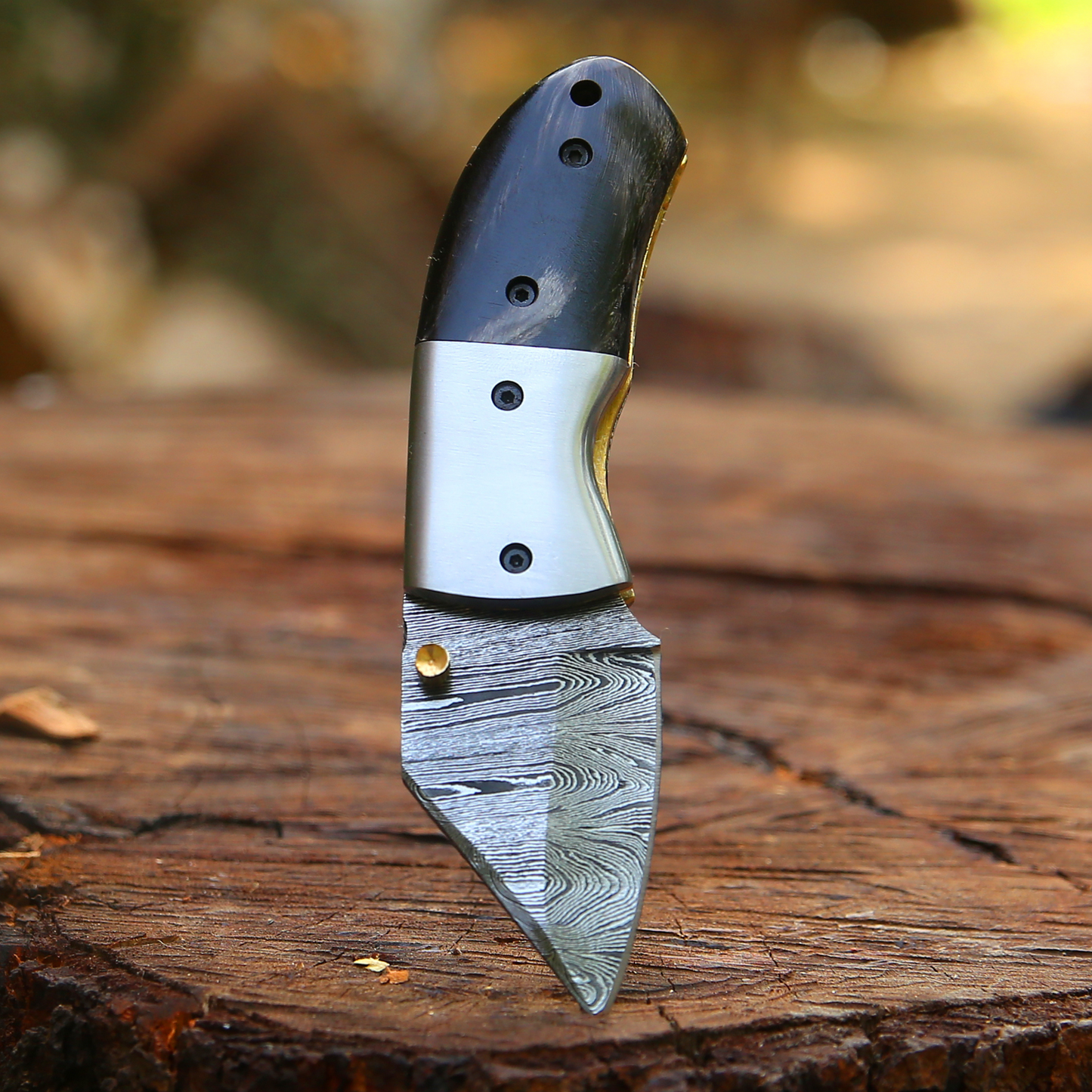 Tiny Torque - Hand Forged 5.5" EDC Mini Pocket Folding Knife with Leather Sheath