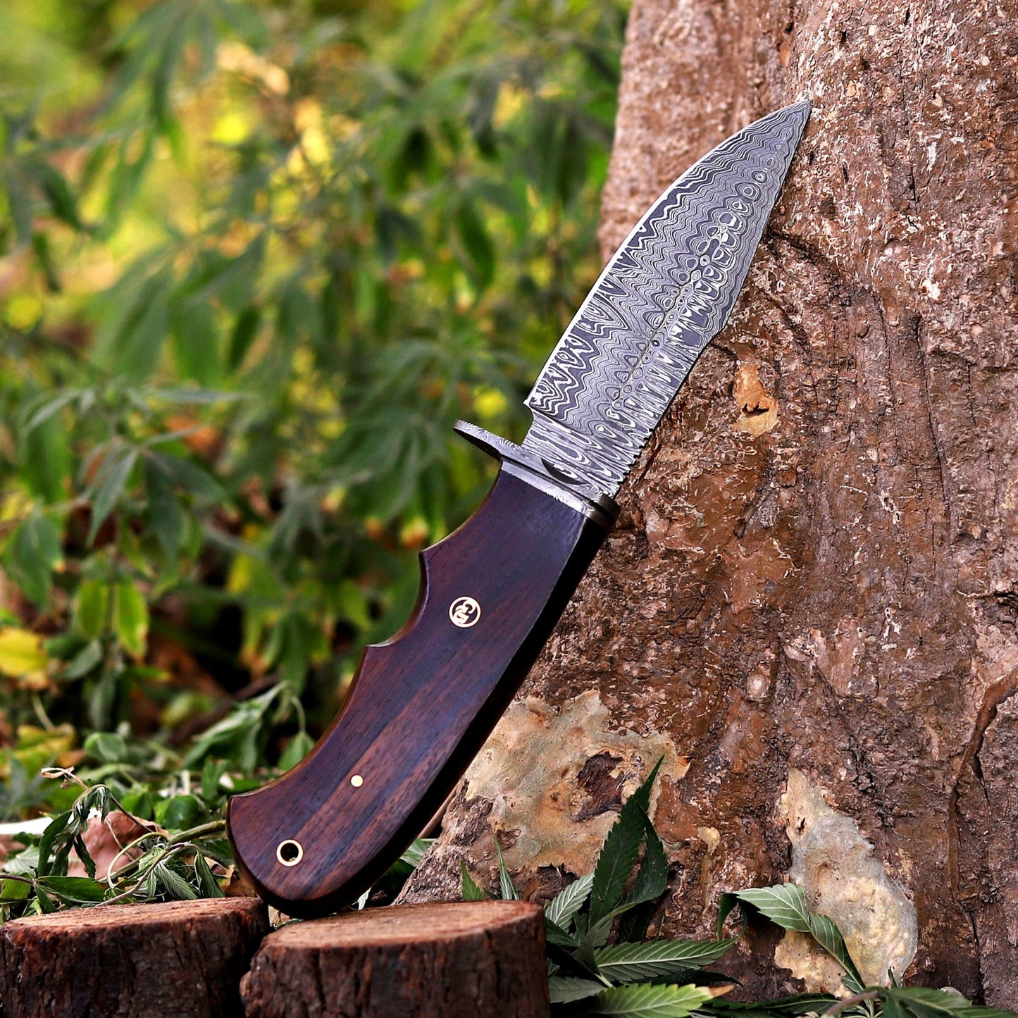 Onyx Seeker - 10.5 inch Hidden Tang Damascus Steel Hunting Knife