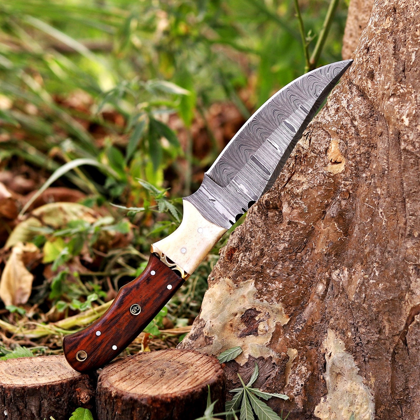 Johnny Appleseed Blade - 10” Custom Hand Forged Damascus Steel Full Tang Hunting Knife - Wood & Bone Handle