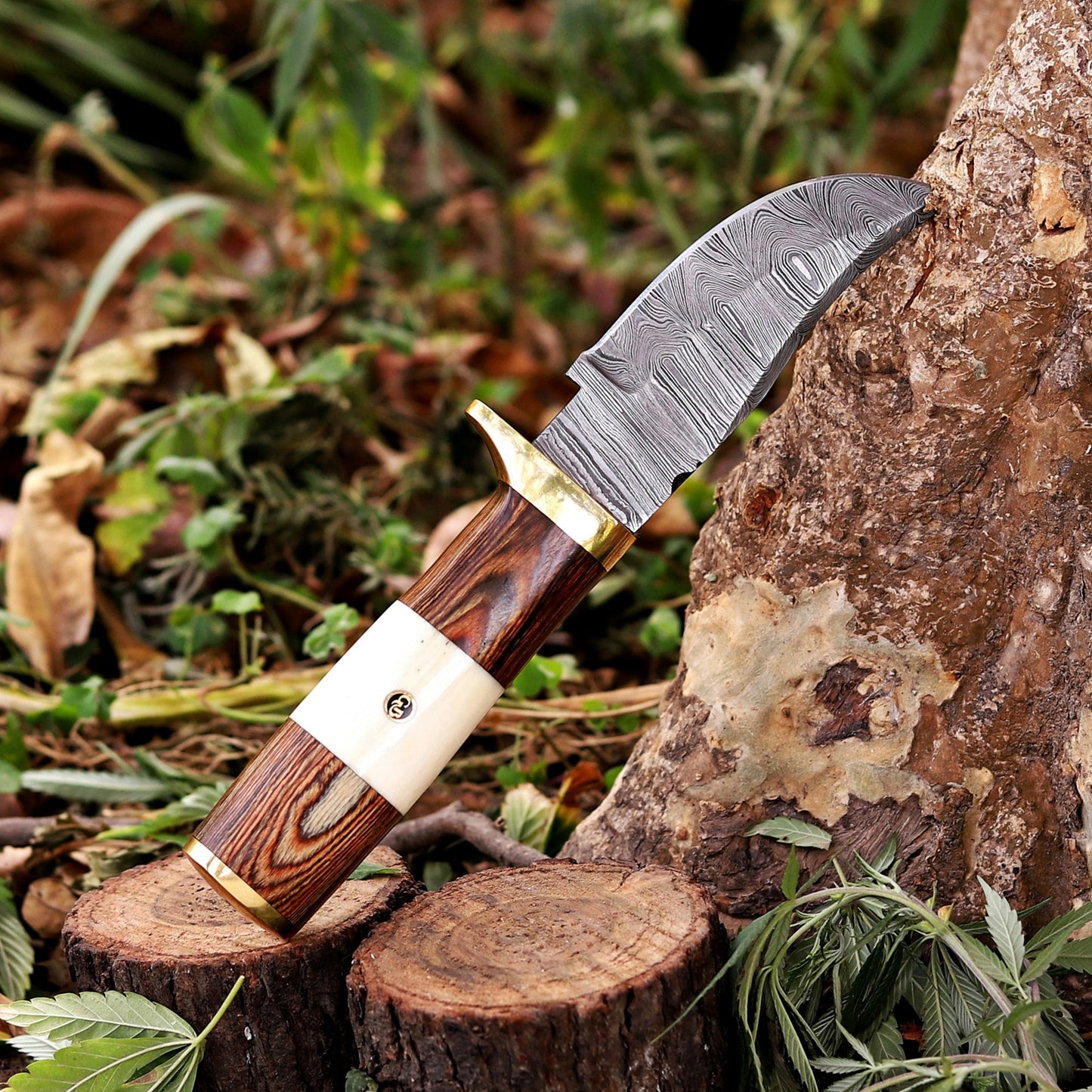 Mike Fink Skinner - CUSTOM HANDMADE FORGED DAMASCUS Steel Hunting Knife Wood & Camel Bone Handle