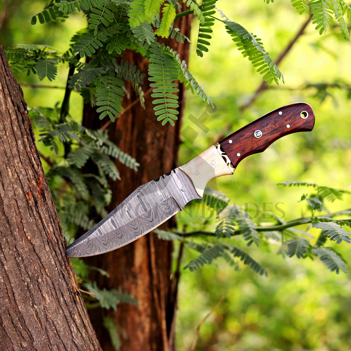 Johnny Appleseed Blade - 10” Custom Hand Forged Damascus Steel Full Tang Hunting Knife - Wood & Bone Handle