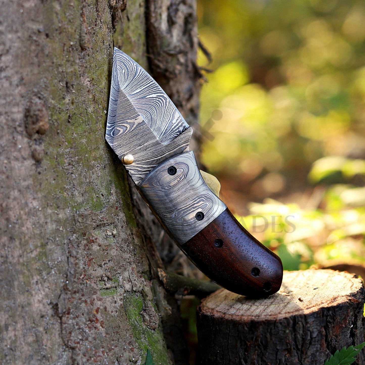 ZenithZing - Hand Forged 5.5" Mini Folding Knife with Leather Sheath