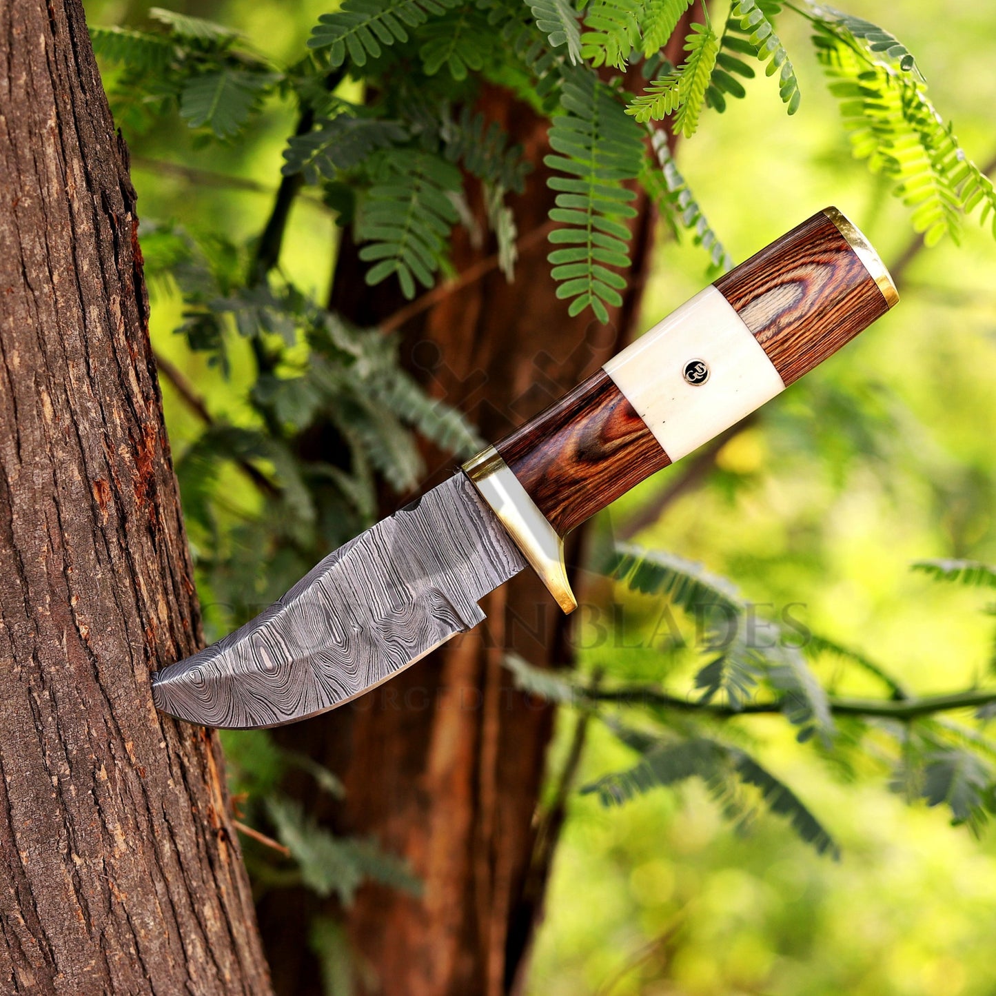 Mike Fink Skinner - CUSTOM HANDMADE FORGED DAMASCUS Steel Hunting Knife Wood & Camel Bone Handle