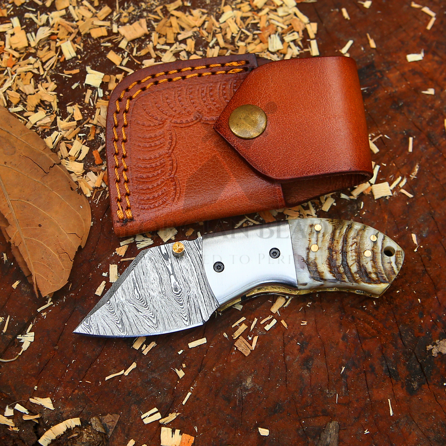 Lil' Capra Cutter - Hand Forged 5.5" EDC Pocket Folding Knife with Leather Sheath