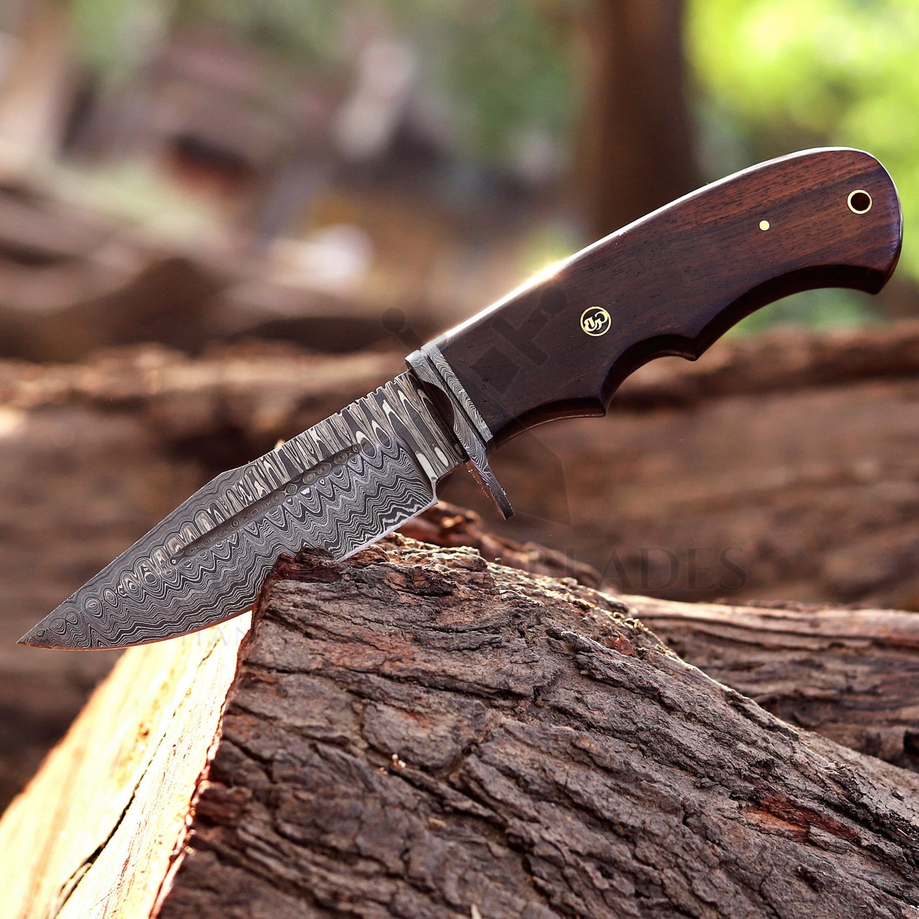 Onyx Seeker - 10.5 inch Hidden Tang Damascus Steel Hunting Knife