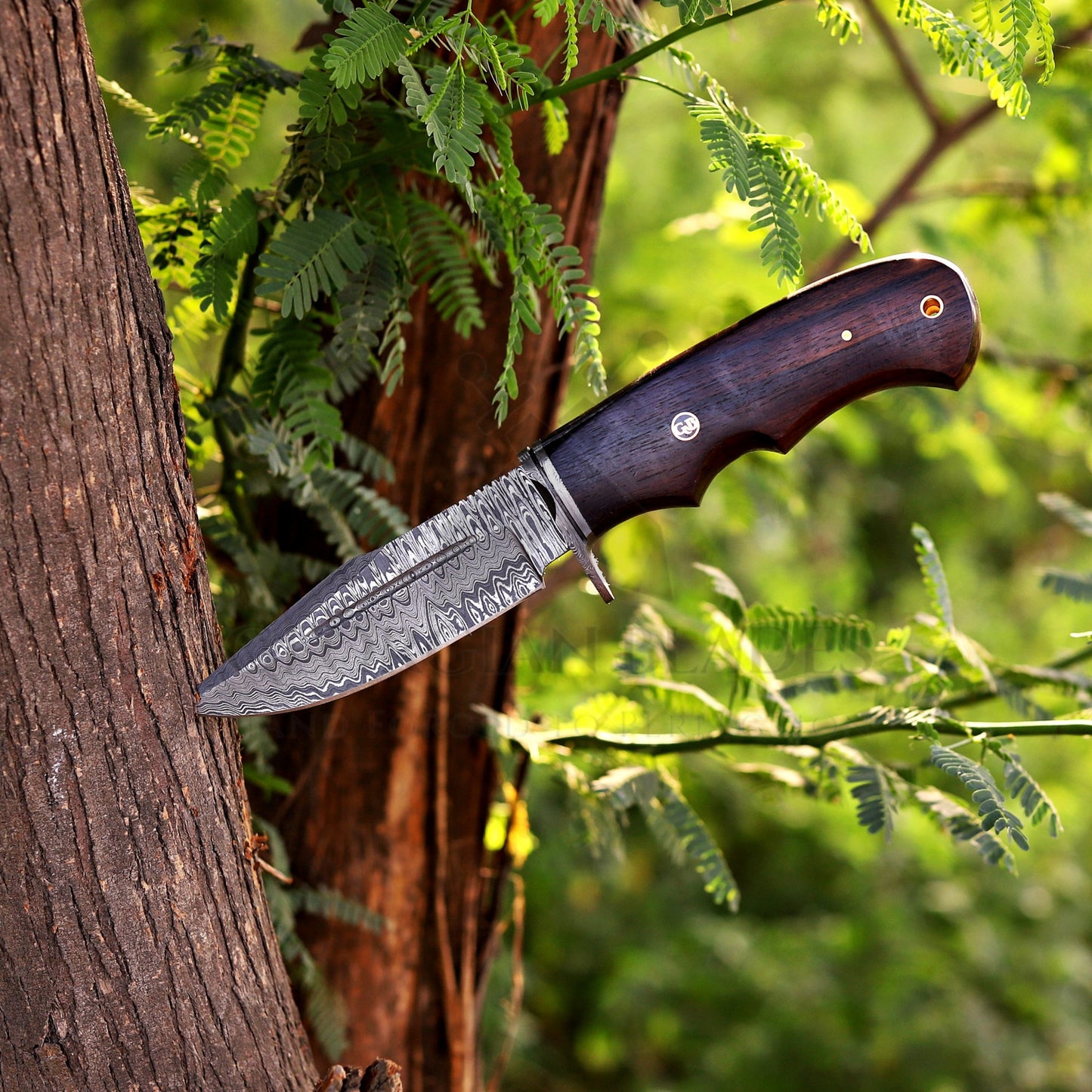 Onyx Seeker - 10.5 inch Hidden Tang Damascus Steel Hunting Knife