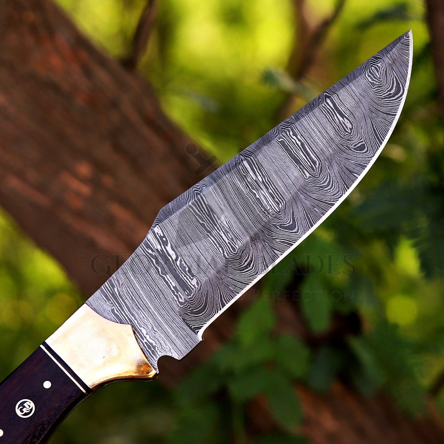 Savage Soulblade - 11" Custom Hand Forged Hunting Knife with Leather Sheath