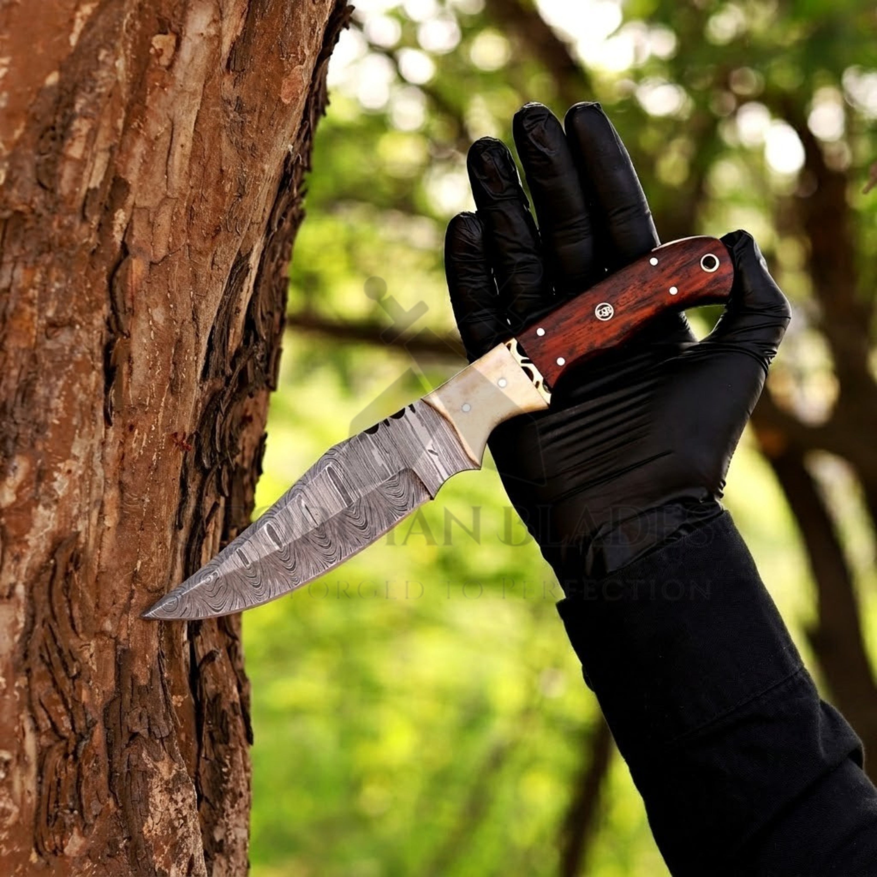 Johnny Appleseed Blade - 10” Damascus Steel Full Tang Hunting