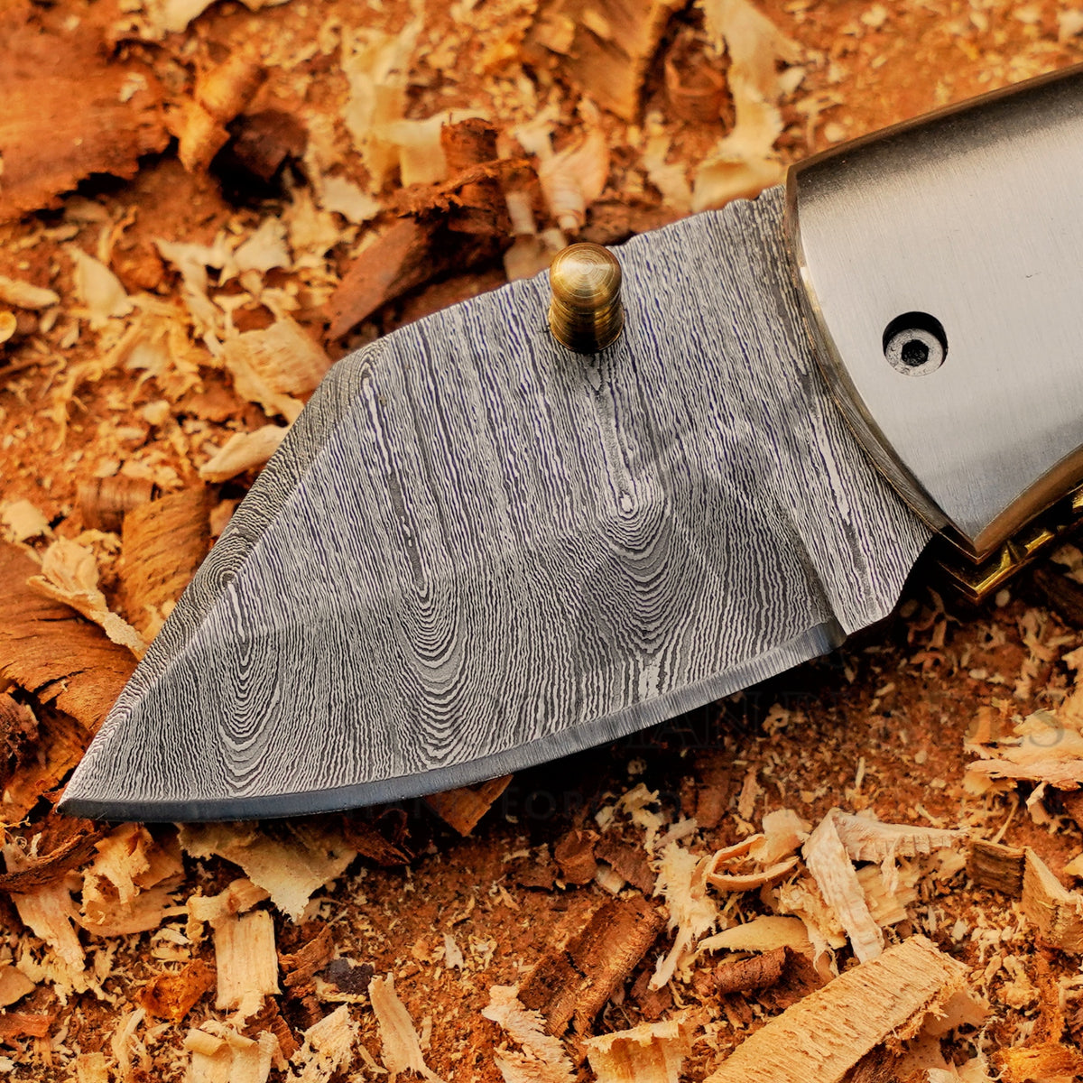 Kestrel - 5 inch Twist Damascus Mini Pocket Knife with Micarta Handle