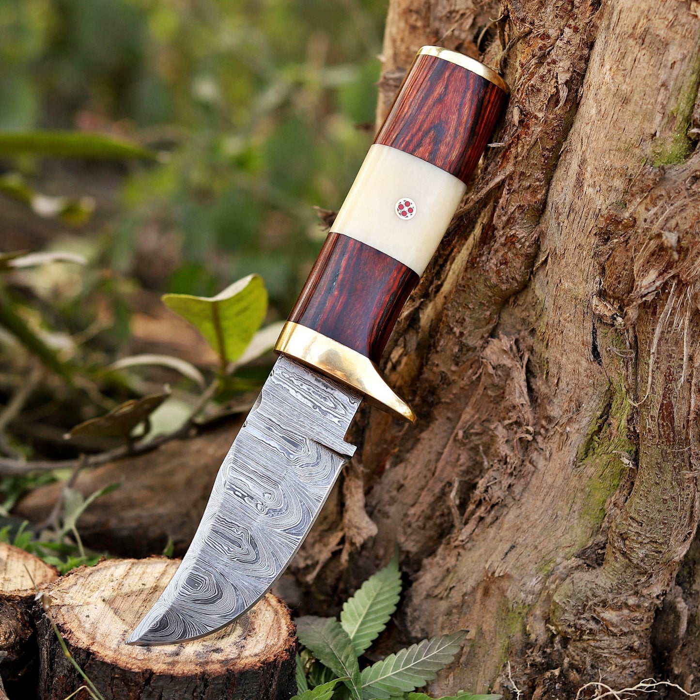 Mike Fink Skinner - CUSTOM HANDMADE FORGED DAMASCUS Steel Hunting Knife Wood & Camel Bone Handle