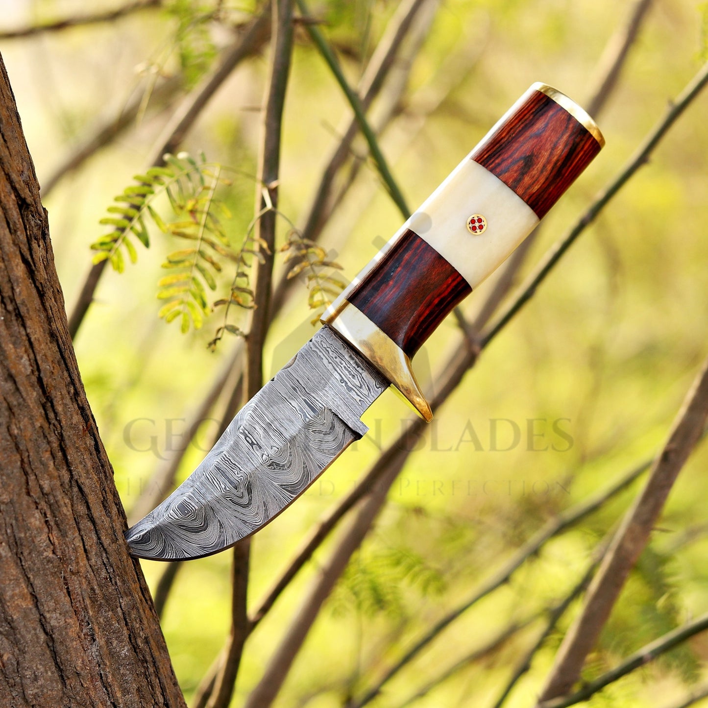 Mike Fink Skinner - CUSTOM HANDMADE FORGED DAMASCUS Steel Hunting Knife Wood & Camel Bone Handle