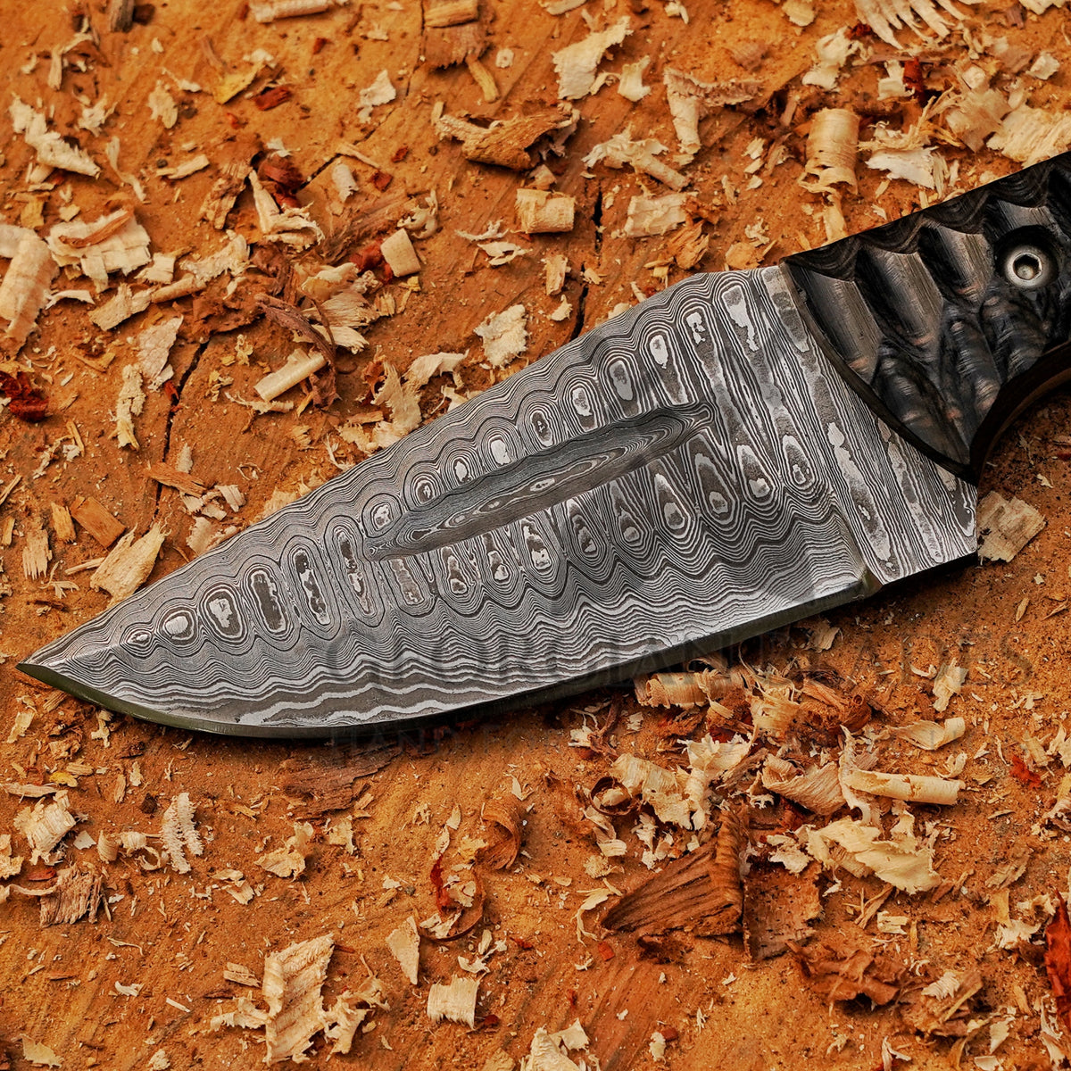 Ridgeback Skinner — 9" Hand-Forged Ladder Damascus Skinning Knife with Ring Pommel