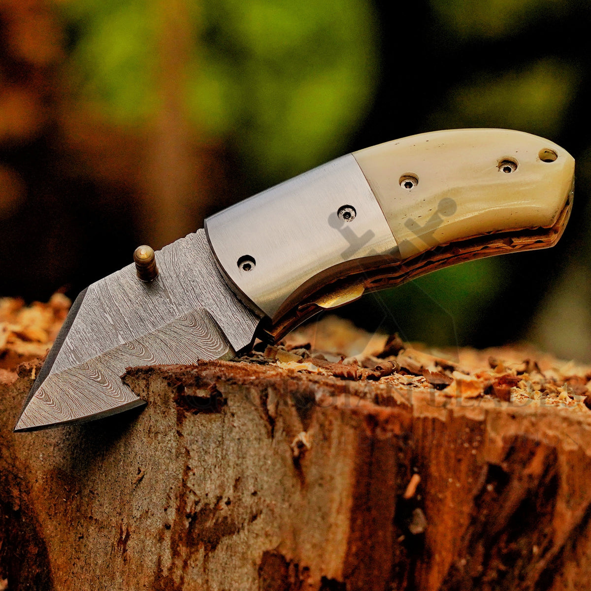 Little Warden – 5 inch Twist Damascus Mini Pocket Knife with Bone Handle