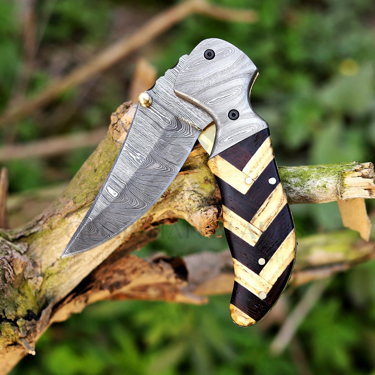 Kit Carson - 7 inches Custom Hand Forged Damascus Folding Knife Damascus Bolster With Olive & Dark Wood Handle