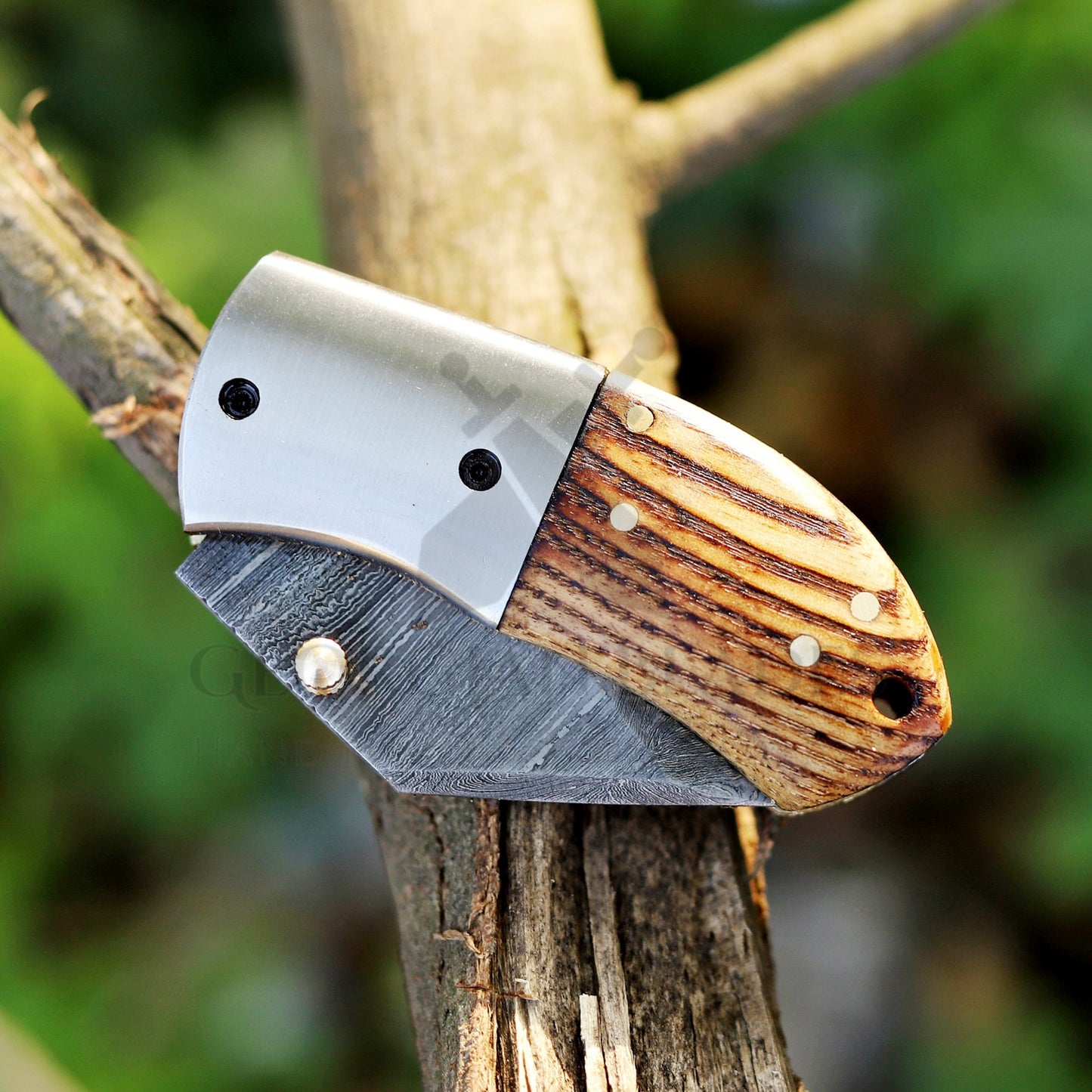 Lil' Capra Cutter - Hand Forged 5" EDC Pocket Folding Knife with Leather Sheath