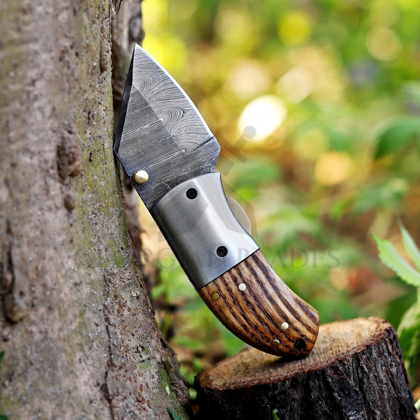 Lil' Capra Cutter - Hand Forged 5" EDC Pocket Folding Knife with Leather Sheath