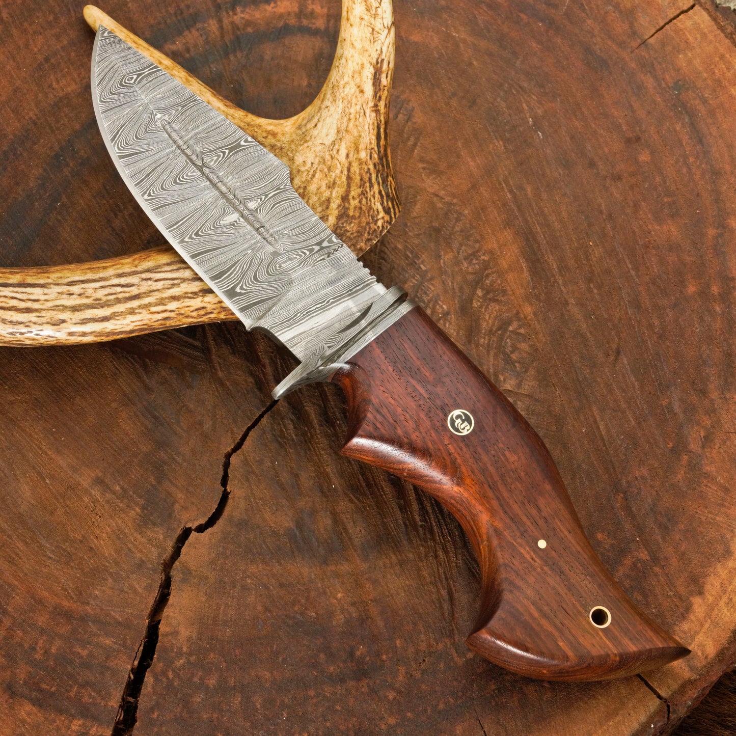 Outlander Edge – 10.5" Hand Forged Damascus Hunting Knife with Leather Sheath