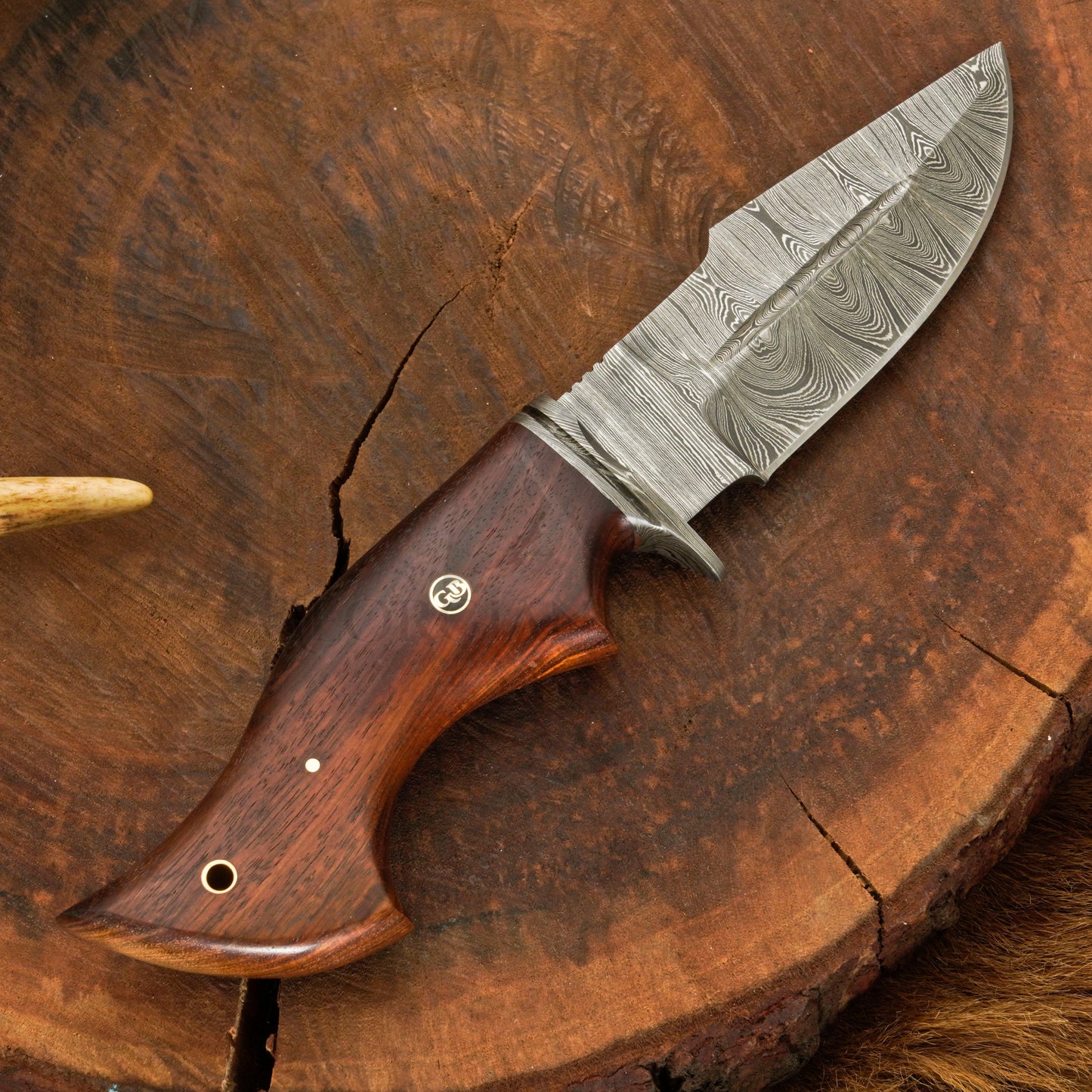 Outlander Edge – 10.5" Hand Forged Damascus Hunting Knife with Leather Sheath